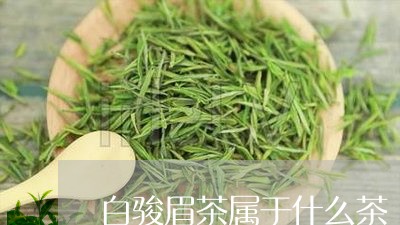 白骏眉茶属于什么茶/2023042195947