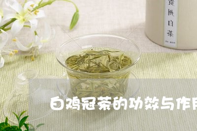 白鸡冠茶的功效与作用/2023092003039