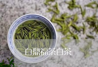 白鼎福茶白茶/2023052181794