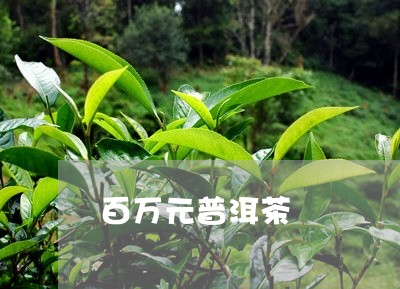 百万元普洱茶/2023090615031