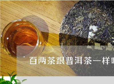 百两茶跟普洱茶一样吗/2023093051815