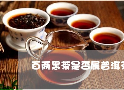 百两黑茶是否属普洱茶/2023062474048