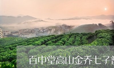 百中堂高山金乔七子普洱茶/2023051094826