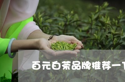 百元白茶品牌推荐一下图片/2023111507079