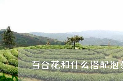 百合花和什么搭配泡茶/2023071507259