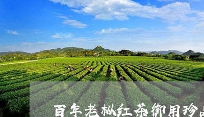 百年老枞红茶御用珍品/2023092155048