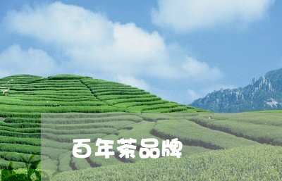 百年茶品牌/2023090204727