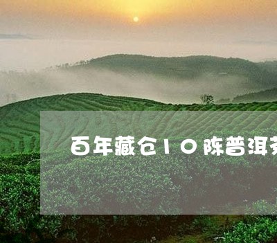 百年藏仓10陈普洱茶/2023092699602