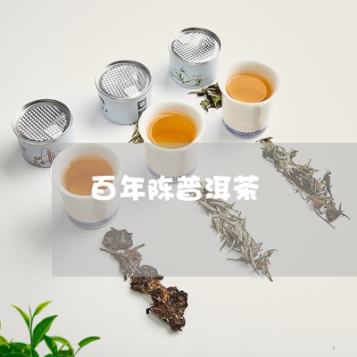 百年陈普洱茶/2023090610604