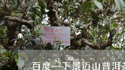 百度一下景迈山普洱茶/2023061498382