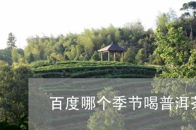 百度哪个季节喝普洱茶/2023061684827