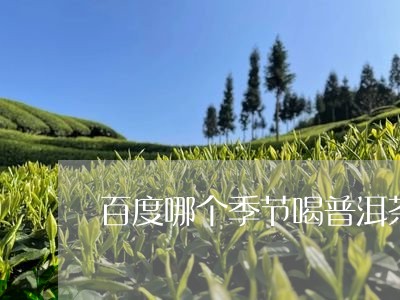 百度哪个季节喝普洱茶/2023092745038