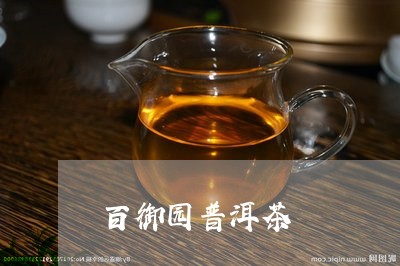 百御园普洱茶/2023042906025