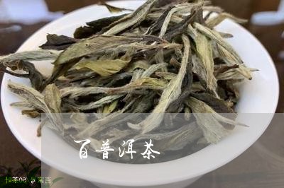 百普洱茶/2023110866358