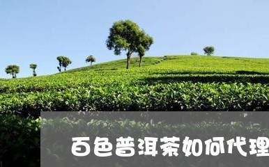 百色普洱茶如何代理的好/2023121831582