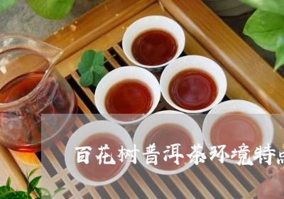 百花树普洱茶环境特点是/2023110762936