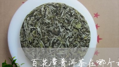 百花潭普洱茶在哪个村/2023092657160