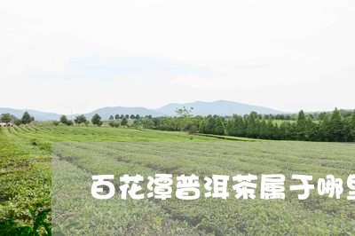 百花潭普洱茶属于哪里/2023061872917