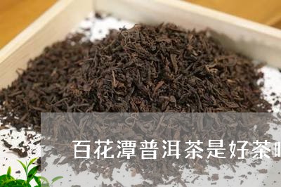 百花潭普洱茶是好茶吗/2023061564259