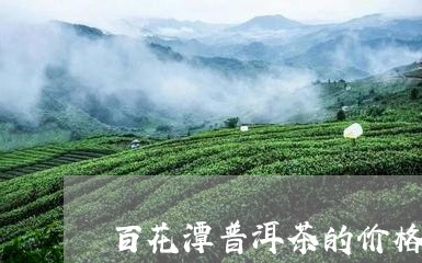 百花潭普洱茶的价格/2023120662815