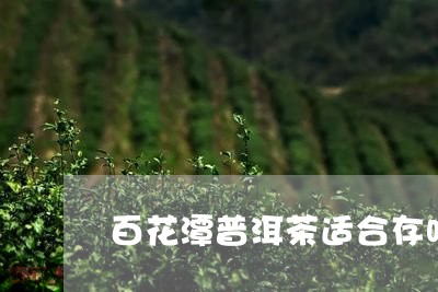 百花潭普洱茶适合存吗/2023092677471