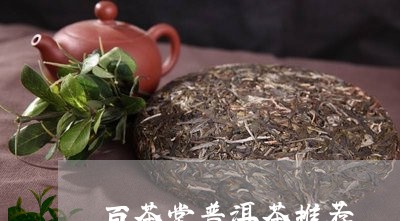 百茶堂普洱茶推荐/2023121876160