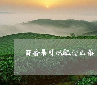 百香果可以配什么茶/2023042177179