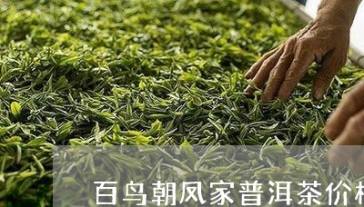 百鸟朝凤家普洱茶价格/2023061429583