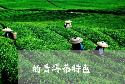 的普洱茶特色/2023042880838