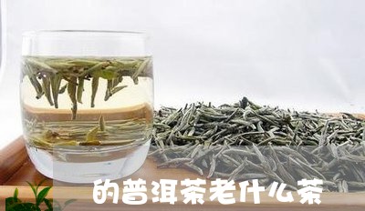 的普洱茶老什么茶/2023080322703