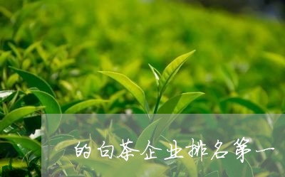 的白茶企业排名第一/2023102688481