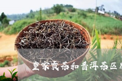 皇家贡茶和普洱茶区别/2023100704916