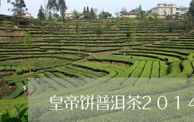 皇帝饼普洱茶2014年价格/2023052958603