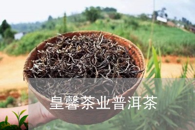 皇馨茶业普洱茶/2023101614939