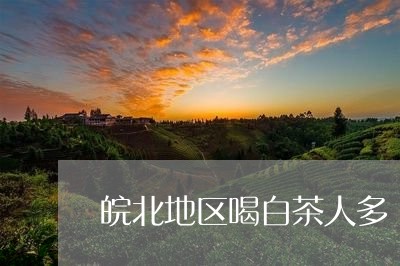 皖北地区喝白茶人多/2023082472838