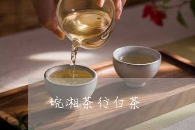 皖湘茶行白茶/2023052107361