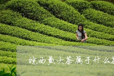 皖西黄大茶属于什么茶/2023071441593