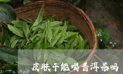 皮肤干能喝普洱茶吗/2023071073851