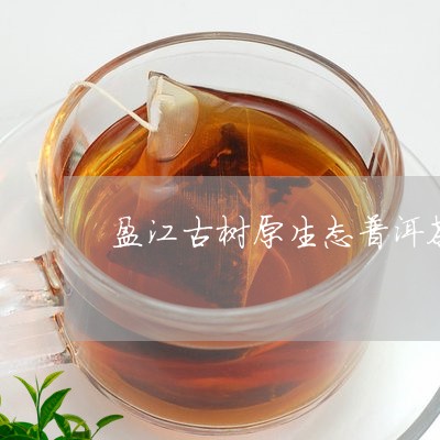 盈江古树原生态普洱茶/2023063086363