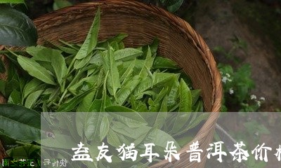 益友猫耳朵普洱茶价格/2023080360734