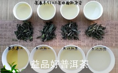 益品好普洱茶/2023042553298