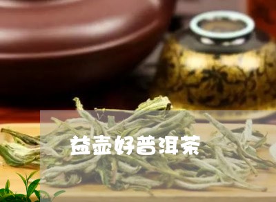 益壶好普洱茶/2023042830804