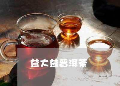 益大益普洱茶/2023042927763