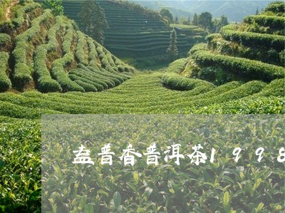 益普香普洱茶1998/2023100667461