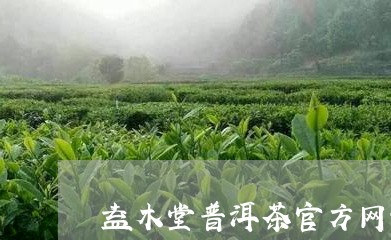 益木堂普洱茶官方网站/2023092650704