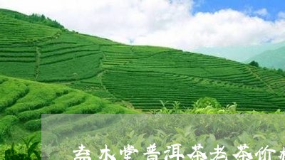 益木堂普洱茶老茶价格/2023073126273