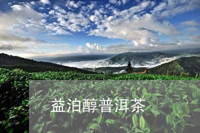 益泊醇普洱茶/2023042800455