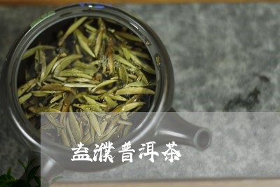 益濮普洱茶/2023090624071