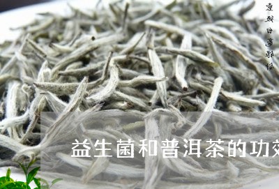 益生菌和普洱茶的功效/2023062352927