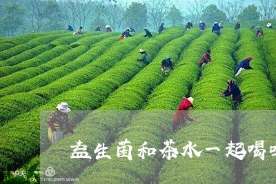 益生菌和茶水一起喝吗/2023071496159